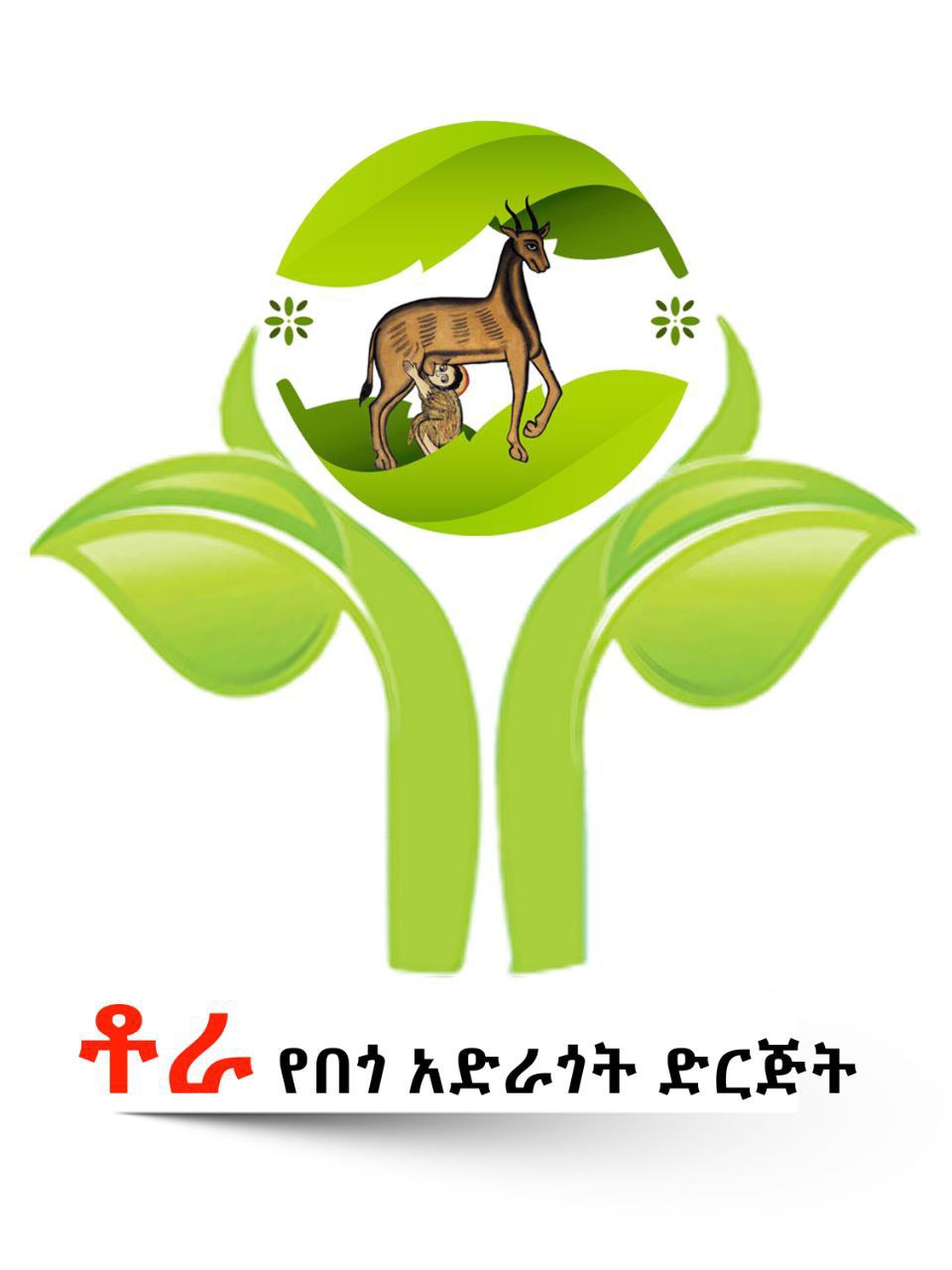 Tora Charity